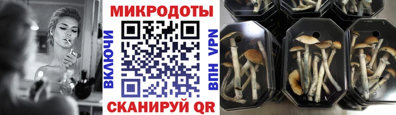 Псилоцибиновые грибы Magic Shrooms наркотики блэк спрут рабочий сайт Ноябрьск